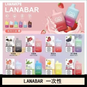 LANA BAR可充电一次性電子煙霧化5000口(3.0%)
