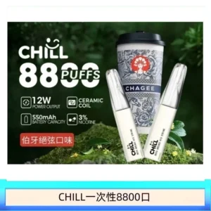 10種口味|鴨嘴獸CHILL 8800口一次性電子菸 8ml大容量煙油 - 伯牙絕弦