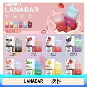 LANA BAR可充电一次性電子煙霧化5000口(3.0%)