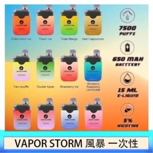 Vapor Storm風暴電子煙7500口(5%)一次性
