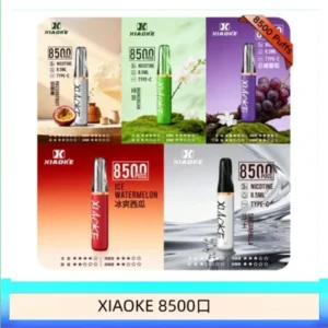 梟客XIAOKE一次性電子菸拋棄式8500口